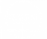 Logo_Tressini-weiss